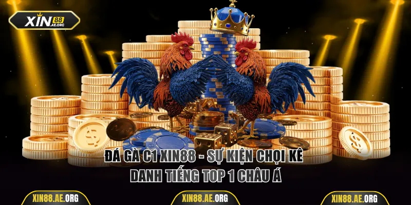 Đá gà C1 Xin88