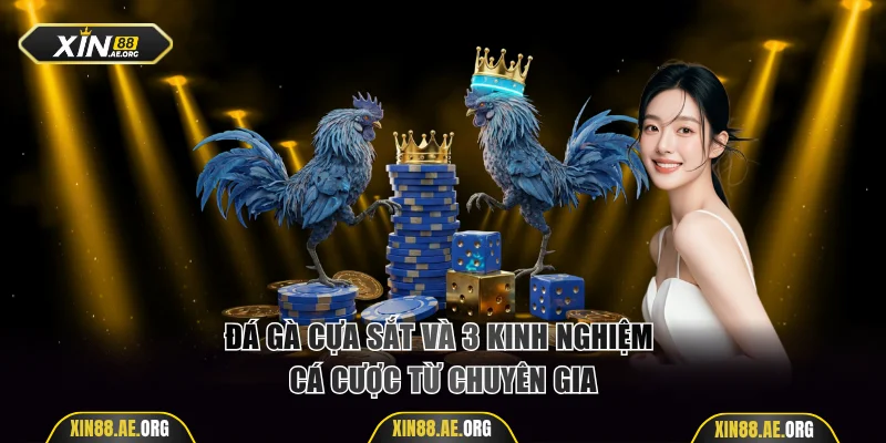 Đá gà cựa sắt