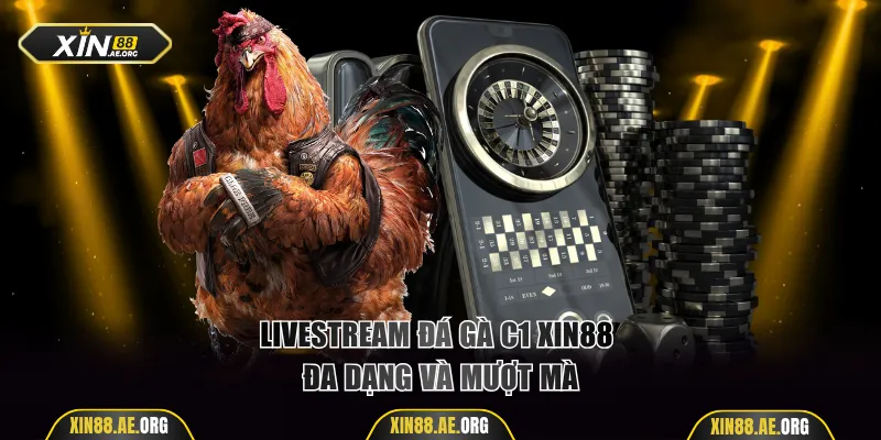 Livestream đá gà C1 Xin88 đa dạng và mượt mà